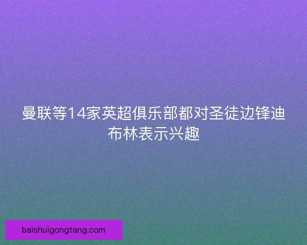 曼联等14家英超俱乐部都对圣徒边锋迪布林表示兴趣