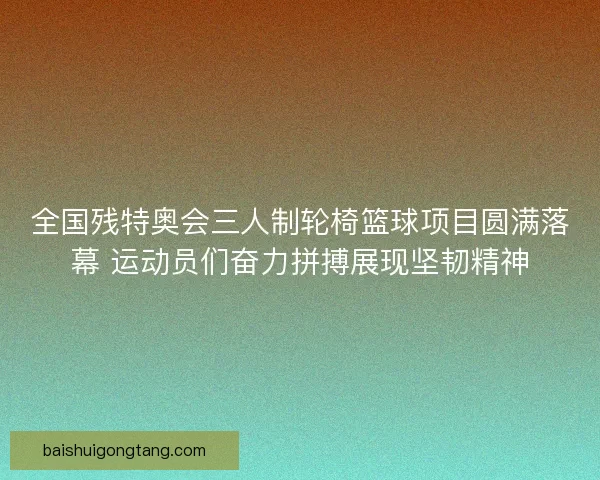 全国残特奥会三人制轮椅篮球项目圆满落幕 运动员们奋力拼搏展现坚韧精神