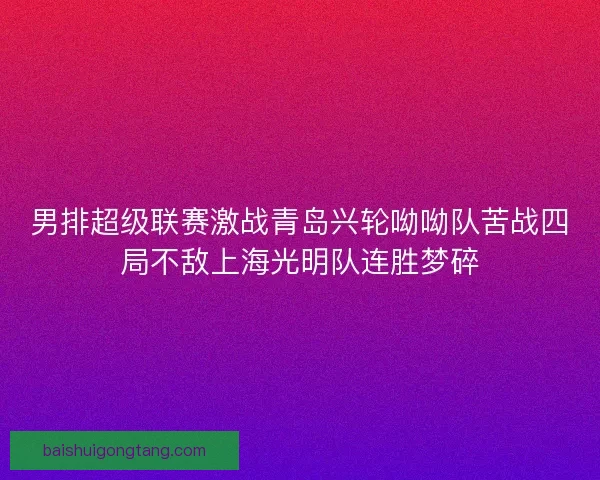 男排超级联赛激战青岛兴轮呦呦队苦战四局不敌上海光明队连胜梦碎